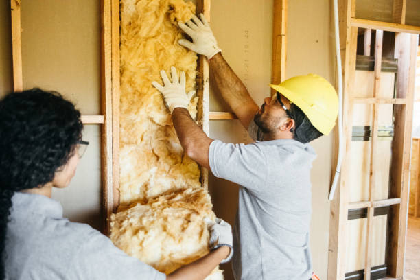 Best Insulation Removal  in Billington Heights, NY