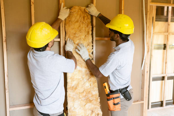 Best Energy-efficient Insulation  in Billington Heights, NY