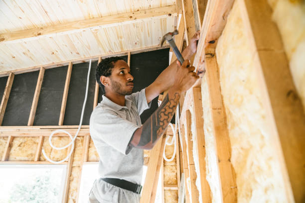 Best Insulation Removal  in Billington Heights, NY